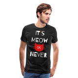 Meow Or Never II | Men's Premium T-Shirt - charcoal gray