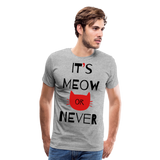 It's Meow Or Never I | Men's Premium T-Shirt - heather gray